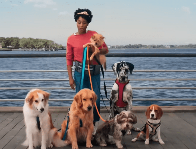 Liberty Mutual Dog Walking Commercial Actress Name: Idara Victor