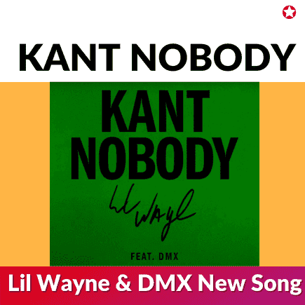 Read more about the article Kant nobody lyrics lil Wayne