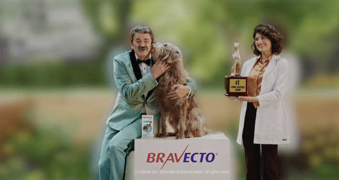 Bravecto Commercial Actor John Michael Higgins and Yasmine Ryback with Border Terrier dog breed. 