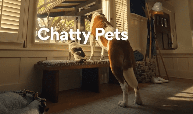 Chewy Peanut Butter Box Commercial: The Chatty Pets Campaign