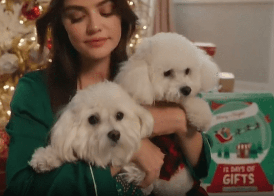 What kind of dog is in the PetSmart commercial?: Bichon Frisé: