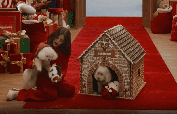 Add to the holiday cheer with Lucy Hale's 'Holidays: petsmart ad