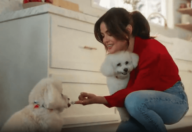 PetSmart Commercial Girl Biography: Lucy Hale